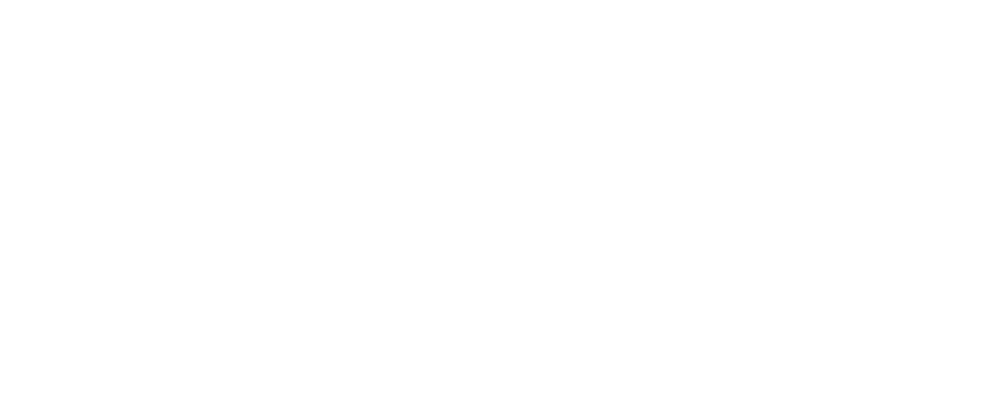 Google-Partner-Network-logo-1