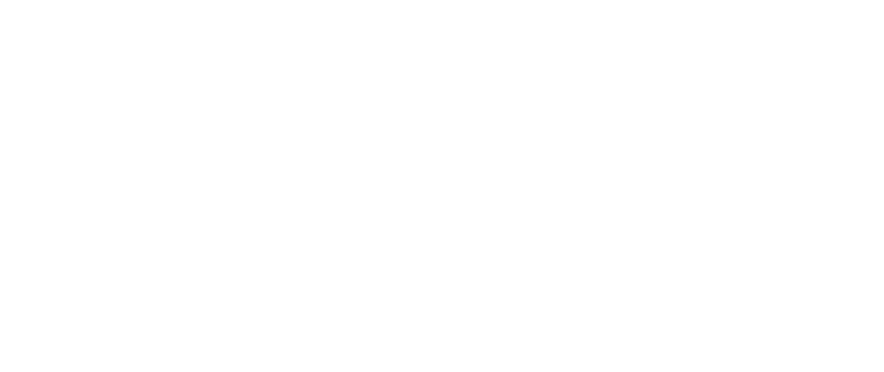 shopify-Partner-Network-logo-1