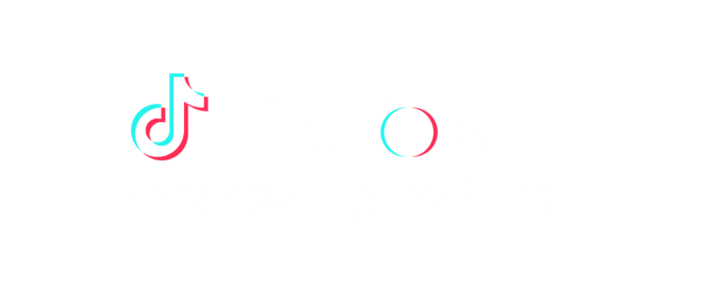 tiktok-Partner-Network-logo